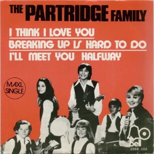The Partridge Family